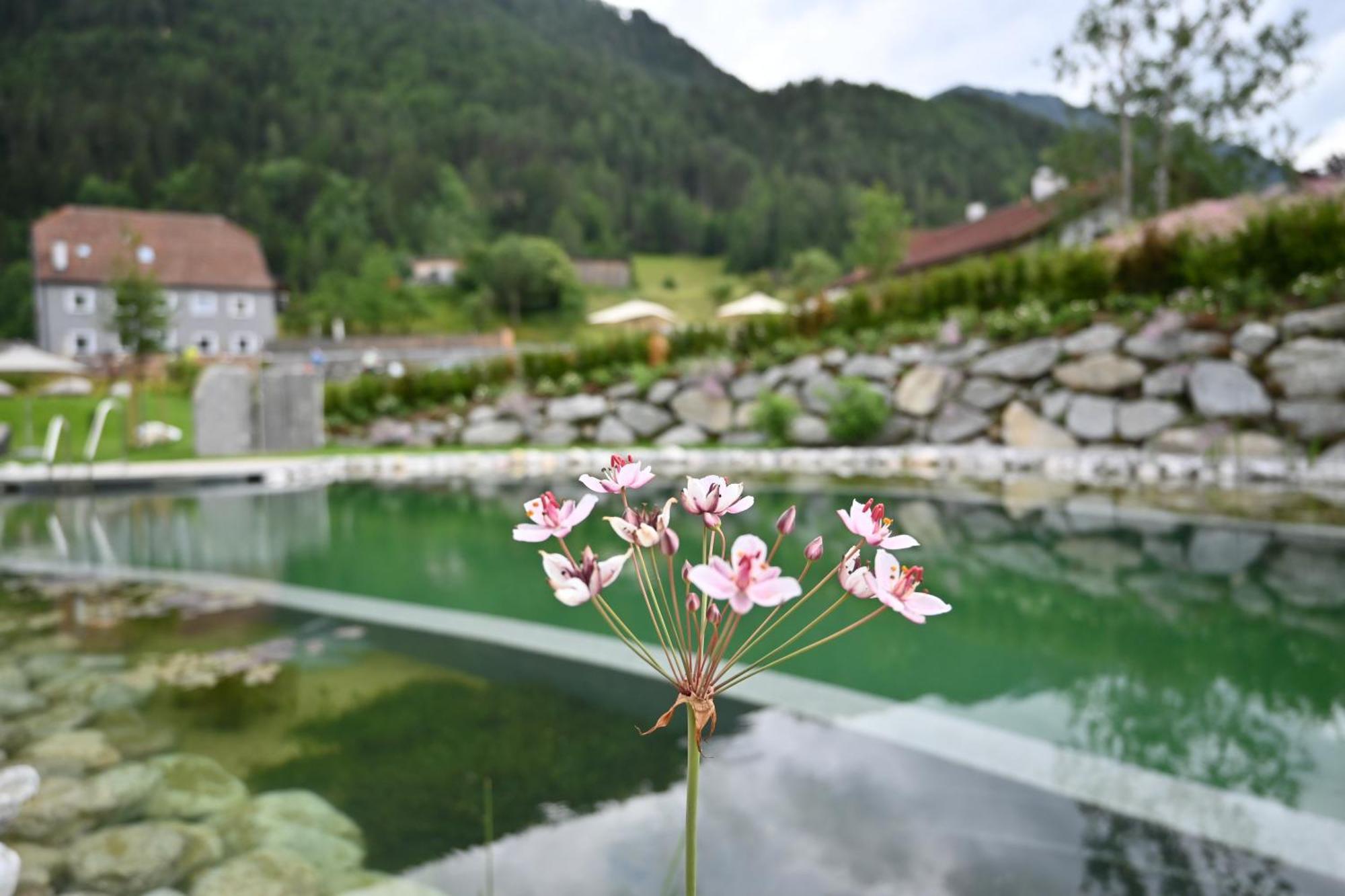 Tilia Living - B&B Mit Dem Komfort Eines Kleinen, Feinen Hotels Риед им Оберинтал Екстериор снимка